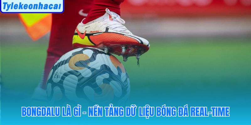Nền tảng tổng hợp livescore và tỷ lệ từ hàng trăm trận đấu