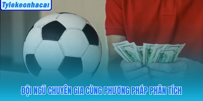 Risk managers và odds analysts với kinh nghiệm thực chiến